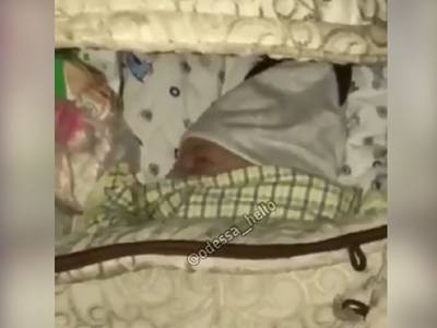 Муж выгнал украинку с 2-месячным ребенком на улицу, видео: ночуют на манеже