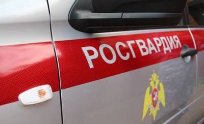 В Пермском крае сотрудники Росгвардии задержали граждан при попытке кражи