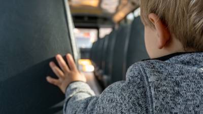 В Петербурге станет больше школьных автобусов
