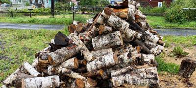 Житель поселка в Карелии обратился к Путину за помощью в обеспечении дровами сельского населения