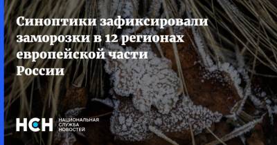 Синоптики зафиксировали заморозки в 12 регионах европейской части России