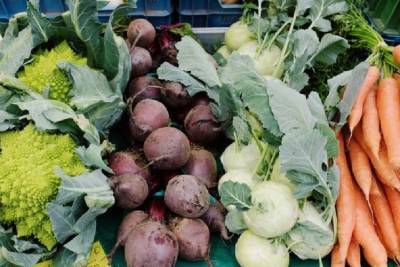 В УФАС подозревают «Пятерочку» и «Магнит» в монопольном завышении цен на овощи