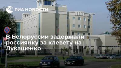 Посольство в Минске: за клевету на Лукашенко задержали россиянку Ирину Викхольм