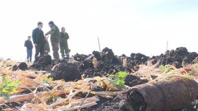 В Воронежской области на месте бывшего концлагеря обнаружили останки 564 солдат