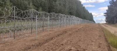 Польща встановить на кордоні з Білоруссю сітку для захисту тварин від колючого дроту