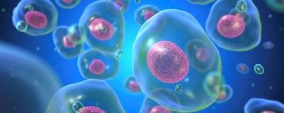 Biophysical Journal: температура могла способствовать делению первых клеток