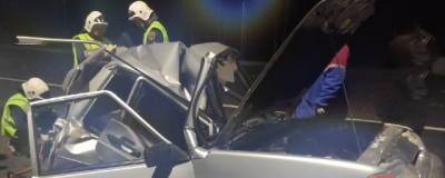 В Нижегородской области грузовик насмерть сбил троих мужчин, толкавших машину по трассе