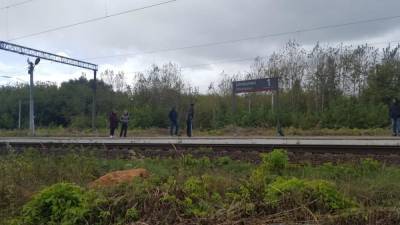 В Рязанском районе поезд сбил 39-летнего инвалида детства