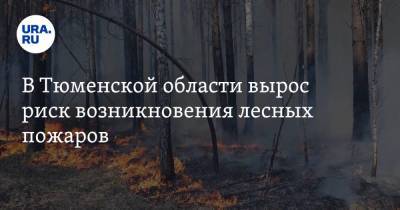 В Тюменской области вырос риск возникновения лесных пожаров