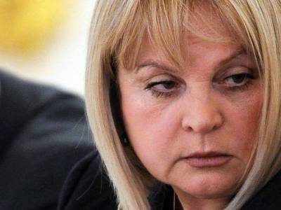 «Низшая точка падения»: Памфилова заявила о намерении бороться с использованием кандидатов-двойников на выборах