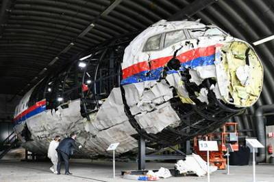 Хендрик Стинхейс - Умер свидетель по делу о крушении MH17 - lenta.ru - Бельгия - Малайзия - Куала-Лумпур - Амстердам