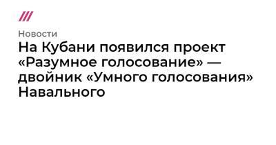 На Кубани появился проект «Разумное голосование» — двойник «Умного голосования» Навального