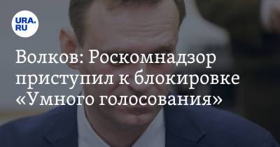 Волков: Роскомнадзор приступил к блокировке «Умного голосования»