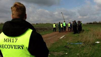Судья заявил, что один из свидетелей по делу о крушении рейса MH17 умер