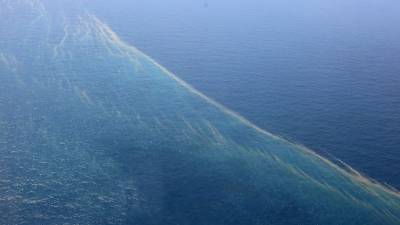Крупное нефтяное пятно появилось в Мексиканском заливе после урагана «Ида»