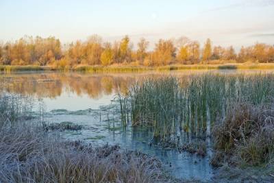 7 сентября в Рязанской области ожидаются заморозки