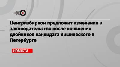Центризбирком предложит изменения в законодательство после появления двойников кандидата Вишневского в Петербурге