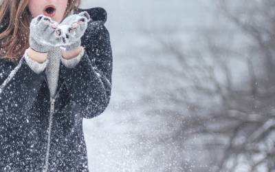 "Сезон дрожи": метеорологи прогнозируют одну из самых холодных и длинных зим в США