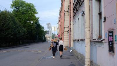 Петербургских школьников могут отправить в музей или на дистант в дни выборов