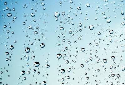 Жителям Ленобласти спрогнозировали кратковременные дожди 7 сентября