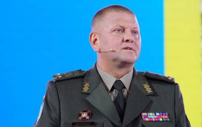 Главнокомандующий ВСУ назвал "настоящую" победу Украины в войне против России