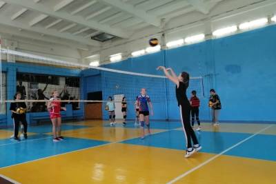 В Пензе состоялся турнир по волейболу