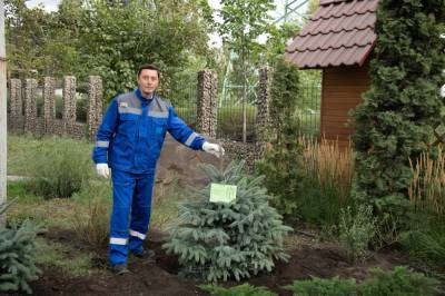 Космонавт-испытатель Сергей Ревин высадил на НЛМК деревья в честь своих родственников
