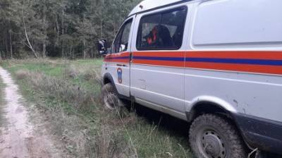75-летняя пенсионерка заблудилась в лесу под Александровкой - penzainform.ru - Никольск - район Бессоновский