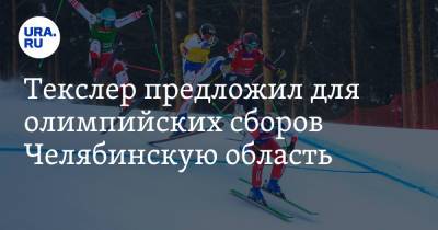 Текслер предложил для олимпийских сборов Челябинскую область
