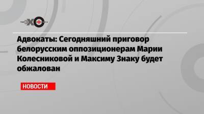Адвокаты: Сегодняшний приговор белорусским оппозиционерам Марии Колесниковой и Максиму Знаку будет обжалован
