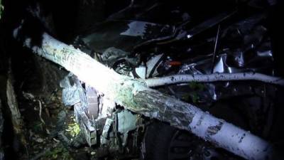 В Самарской области на ночной трассе под колёсами «Лексуса» погиб лось