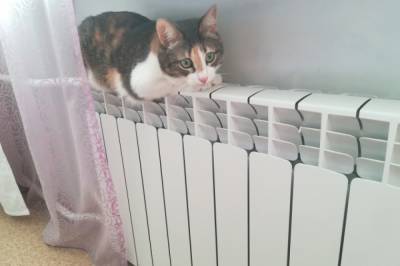Эксперт рассказал, при каких условиях в домах Москвы включат отопление