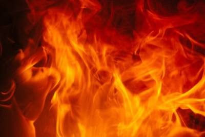 Человек сгорел при пожаре в Лодейном Поле