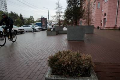 Полиция и ФАС нашли сговор структуры мэрии и бизнеса при озеленении Челябинска
