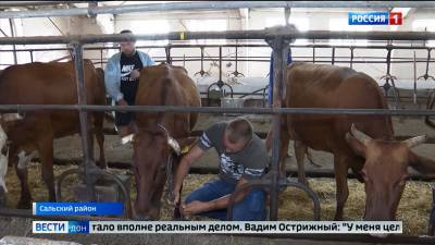 В Ростовской области стартует школа фермеров