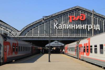 Литовские таможенники по ошибке уехали в Калининград, проверяя поезд
