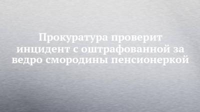 Прокуратура проверит инцидент с оштрафованной за ведро смородины пенсионеркой