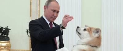 Японцы потребовали вернуть подаренную Путину собаку из-за празднования на Курилах