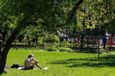 Жителям Петербурга предложили выбрать парки для благоустройства