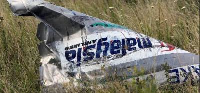 В Нидерландах сообщили о смерти одного из свидетелей по делу о крушении рейса MH17