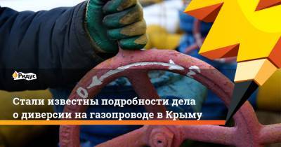 Стали известны подробности дела о диверсии на газопроводе в Крыму