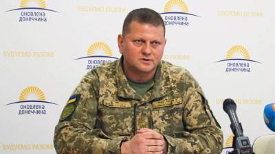 Главнокомандующий ВСУ рассказал, какой видит победу Украины над «российским агрессором»