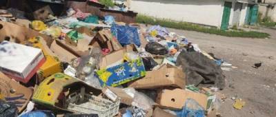 Правозащитники сообщили, что мусорные полигоны в ОРДЛО переполнены