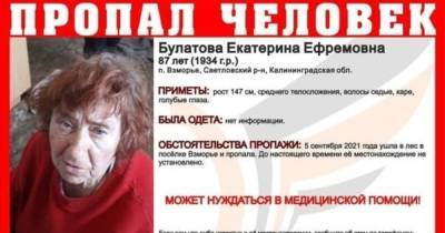В Светловском районе ищут пенсионерку, которая пропала 5 сентября