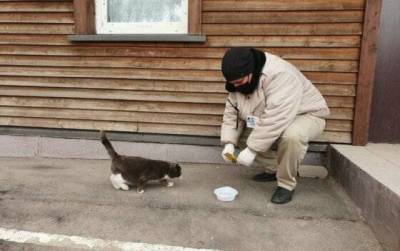 5 советов, как продуктивно помогать бездомным животным, не навредив им