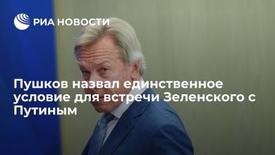 Сенатор Пушков: Зеленскому для встречи с Путиным нужно определиться с темами для разговора