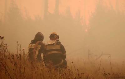 В России за сутки потушили 61 лесной пожар на площади 15 тыс. га