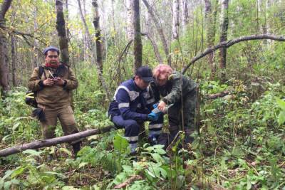 В лесу в Котласском районе пожарные и полиция искали 83-летнюю женщину