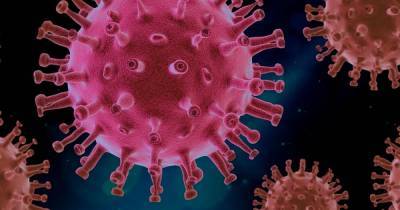 В России оценили вероятность искусственного создания коронавируса