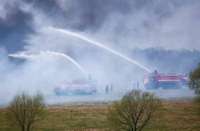 В Гидрометцентре предупредили о высоком риске природных пожаров в ряде регионов РФ